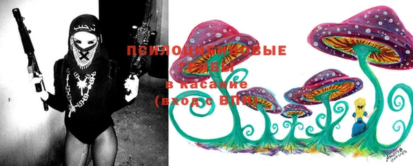 PSILOCYBIN Абаза