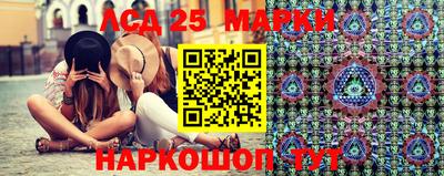 a pvp Новозыбков