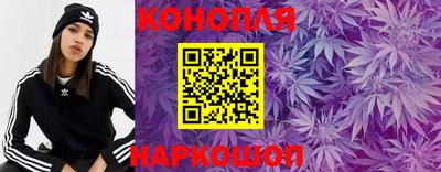 a pvp Новозыбков