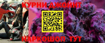 a pvp Новозыбков