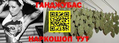 Альфа ПВП Новодвинск