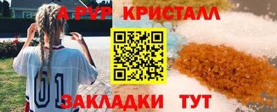 a pvp Новозыбков