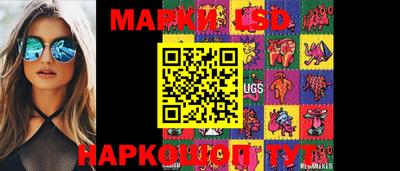 a pvp Новозыбков